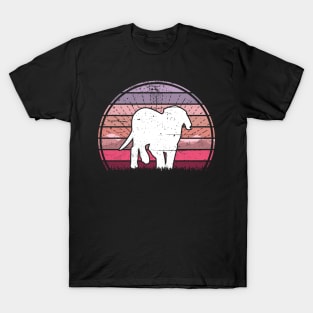 Labrador Puppy Sunset T-Shirt